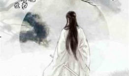 隐士在线观看,探寻心灵深处的宁静之旅